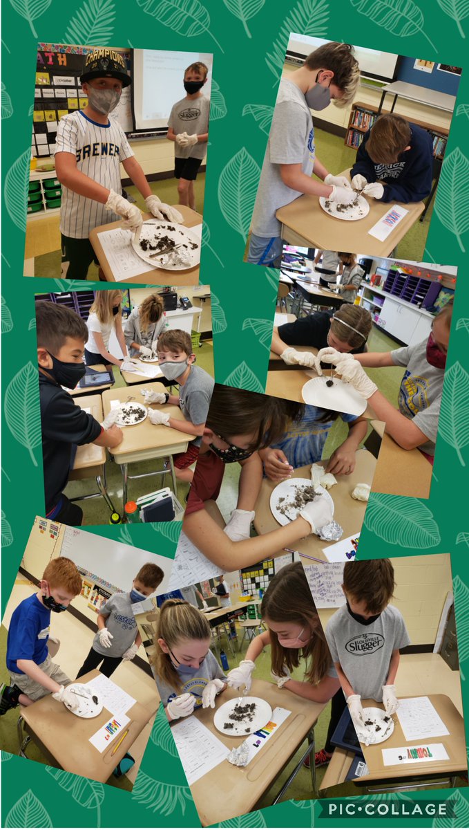 Owl Pellet Dissection was a blast! #dg58pride #lester58rocks #LEchoosesHAPPY