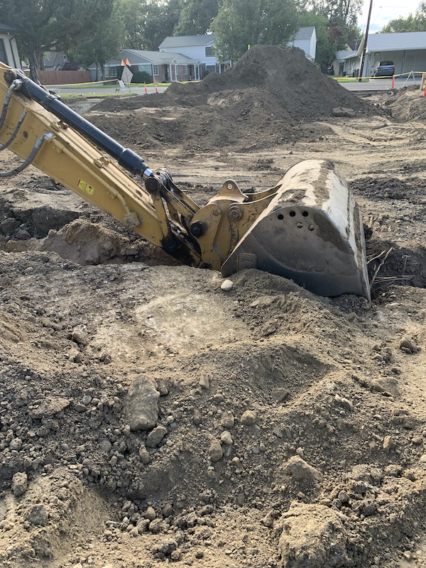 Maslow Project tweet media