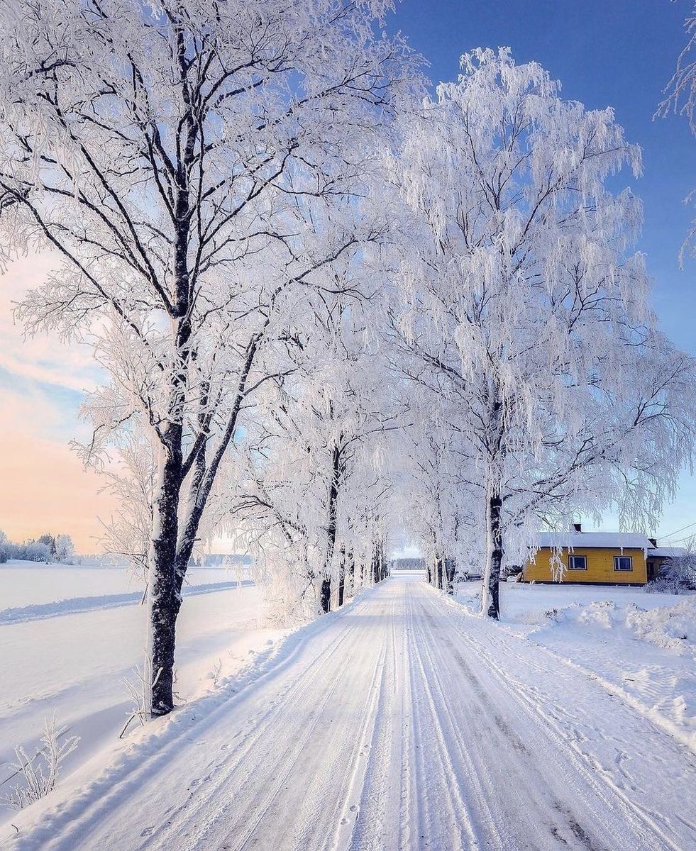 tmbIrpics's tweet photo. Coming ❄️ ⛄️ https://t.co/FMip6a97Wm