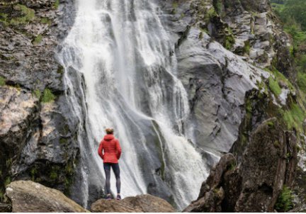 Grace O'Rourke tweet media