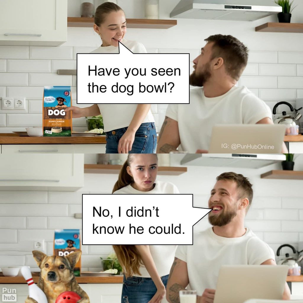Jprz1321's tweet photo. I hate how much these make me laugh https://t.co/znqsnFwYdT