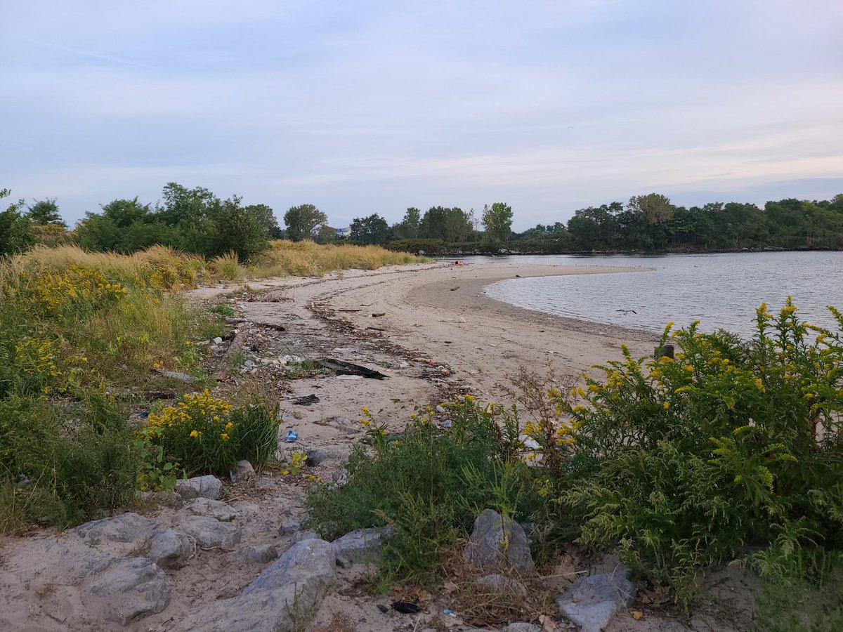 Excited to help <a href="/NYSMEA/">NYSMEA (NYSMarineEd)</a> cleanup #kaiserpark #powerfulandproductivedayatIS228 <a href="/Cristenago/">Cristen Ago</a> <a href="/marylu018/">Mary Lu</a>