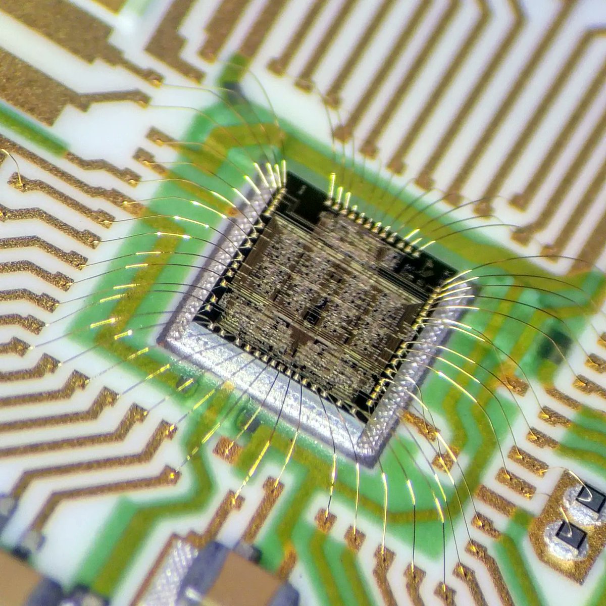 EvilmonkeyzDesignz tweet media