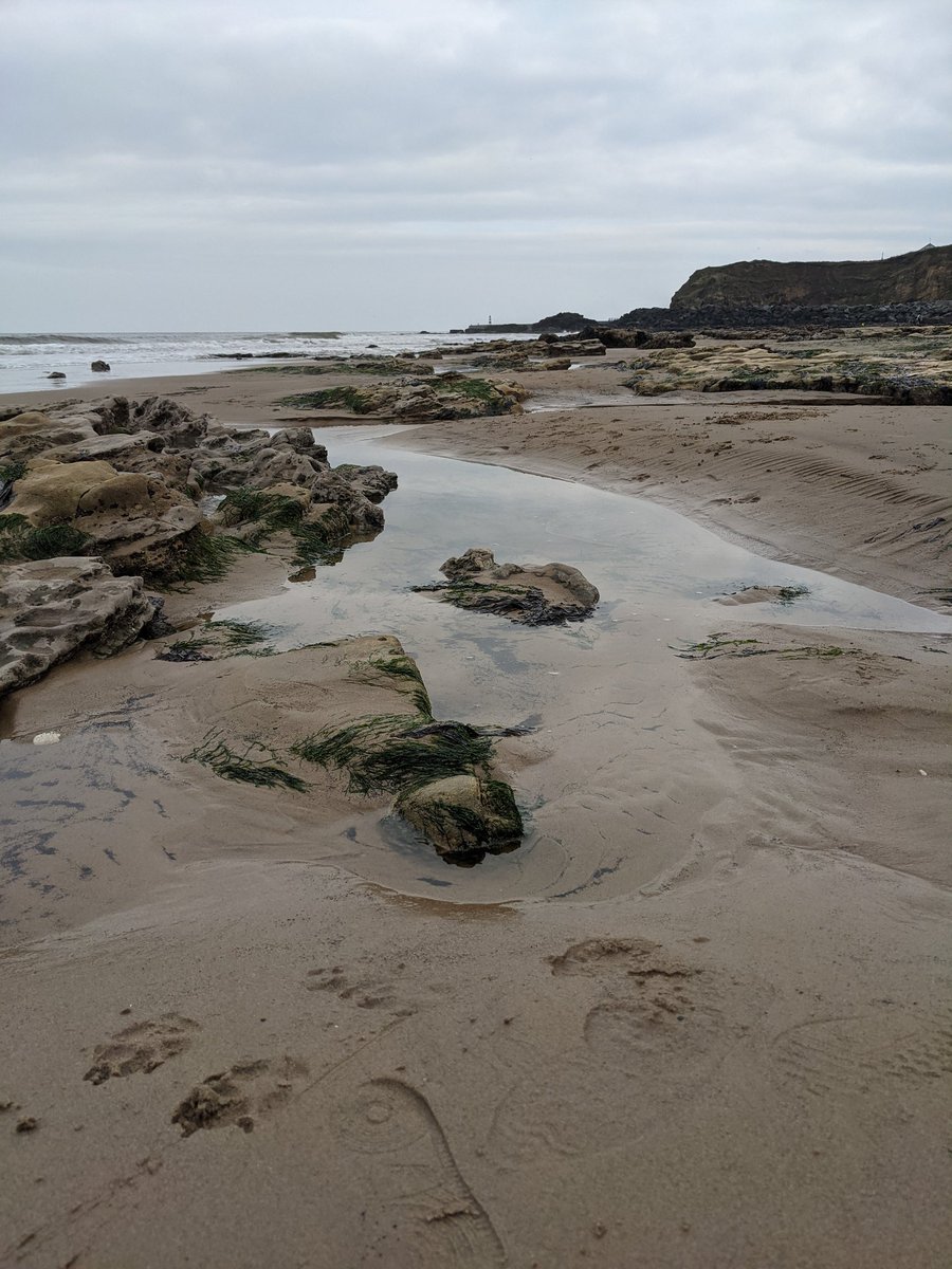 morris_emma's tweet photo. Enjoying a trip to Seaham while visiting our daughter, who still hates uni but not as much as she did last week. #2weeksin https://t.co/h94BZzpTVm