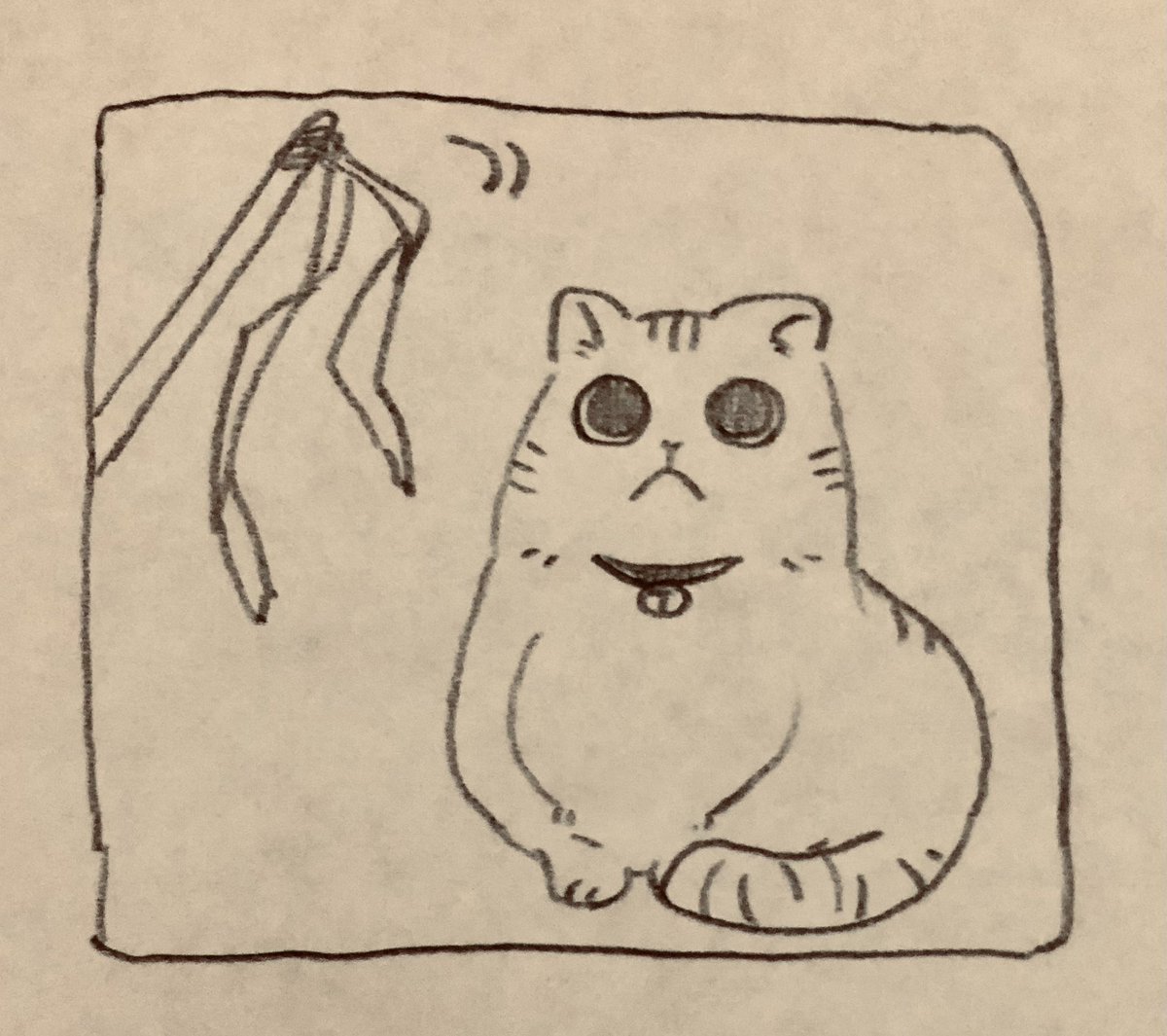 さっきのネコチャン 