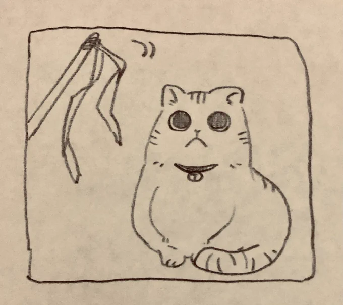 さっきのネコチャン 