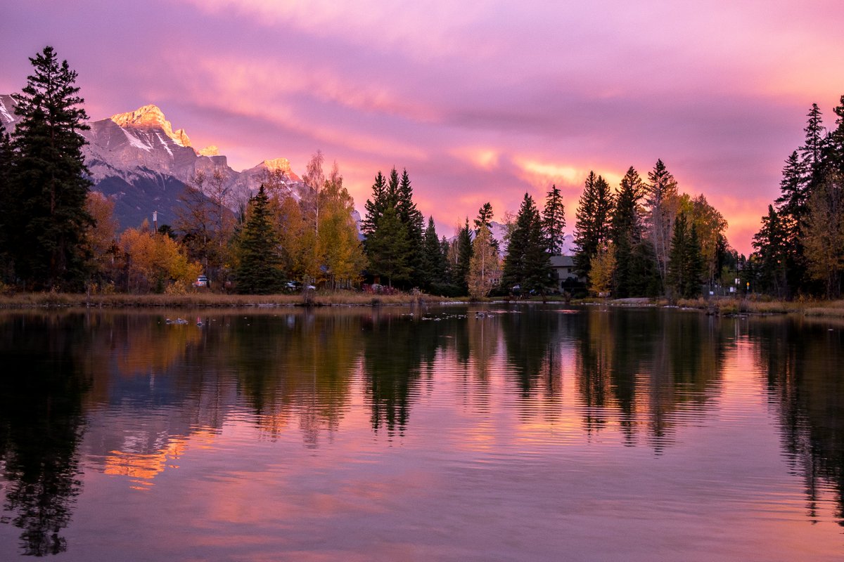 There was a beautiful pink sunrise this morning over a crispy Spring Creek. Happy Thanksgiving weekend everybody!💜
#Canmore #Happythanksgiving #Sunrise #Bowvalleynetwork