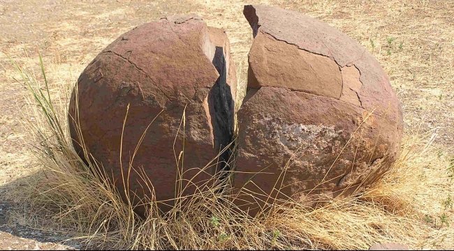 NeuronTrees's tweet image. &apos;Synchrotron X-ray sheds light on some of the world&apos;s oldest dinosaur eggs&apos;

Evidence leaning to the egg over the chicken.

__
esrf.eu/home/news/gene…