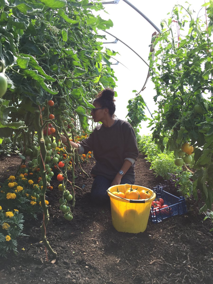 BOOK NOW for ‘Horticultural Appropriation’, an online discussion on 19 October between Head of Creative Programmes, @emmanix and organic food grower and writer @claireratinon on the necessity of bringing a decolonial lens to the practice of horticulture. eventbrite.co.uk/e/187558832517