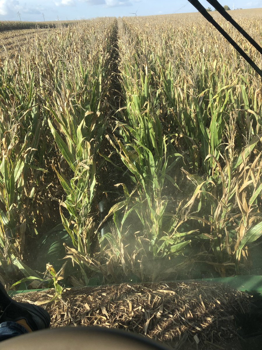 Preyoungren's tweet photo. @HawkeyeFootball From the #cornpicker with @ej20264 listening to @GaryDolphin in Odebolt ia https://t.co/OTzdT3Ewmb