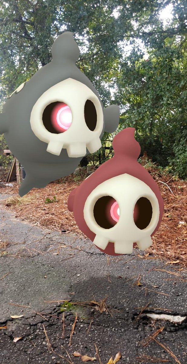 Commoncho's tweet image. Duskull Community day