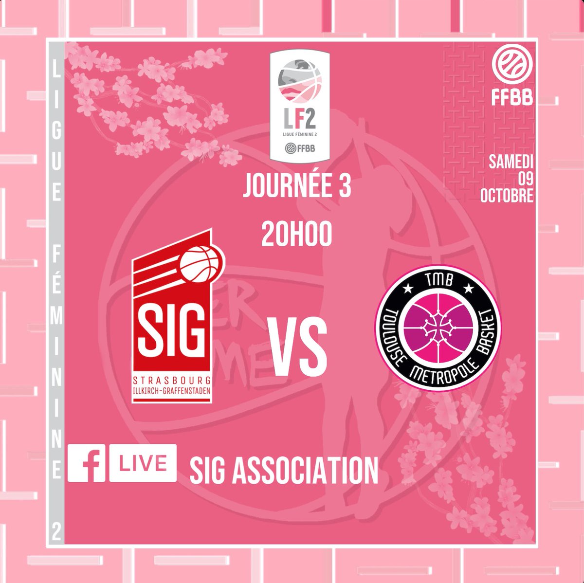 _hergame's tweet photo. #lf2 #championnat

JOURNÉE 3 

@BCTMfeminin 🆚 @COBCalais 

@SigAssociation 🆚 @TMB_Basket 

@BCMFBasket 🆚 @usombasket https://t.co/EmNA1i7gXy