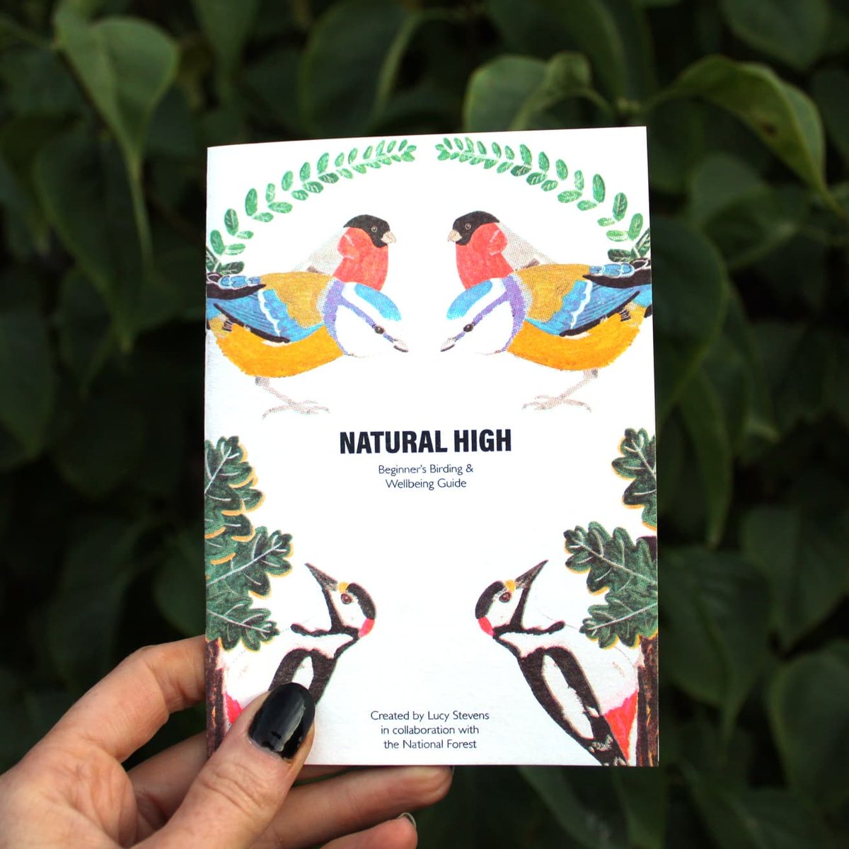 LucyJoStevens's tweet photo. Look out for my post tomorrow about getting your hands on a free birding and wellbeing risograph printed guide I’ve created in collaboration with the @NatForestCo I'm so happy with how these have turned out! Thanks #DizzyInk https://t.co/0AHVxNhZ1R