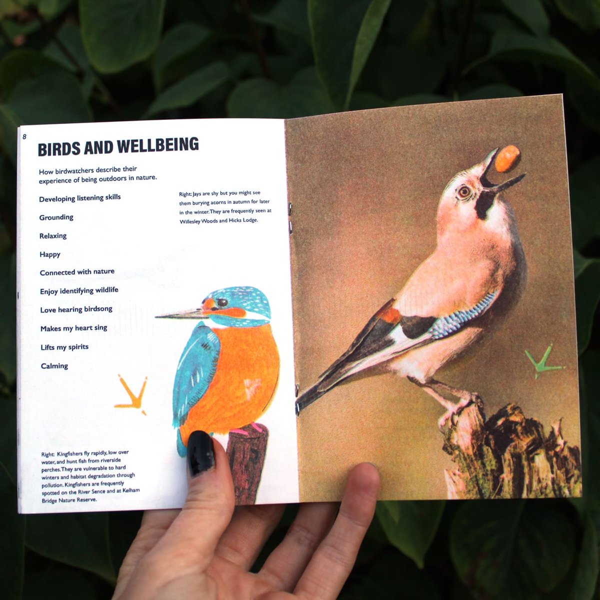 LucyJoStevens's tweet photo. Look out for my post tomorrow about getting your hands on a free birding and wellbeing risograph printed guide I’ve created in collaboration with the @NatForestCo I'm so happy with how these have turned out! Thanks #DizzyInk https://t.co/0AHVxNhZ1R