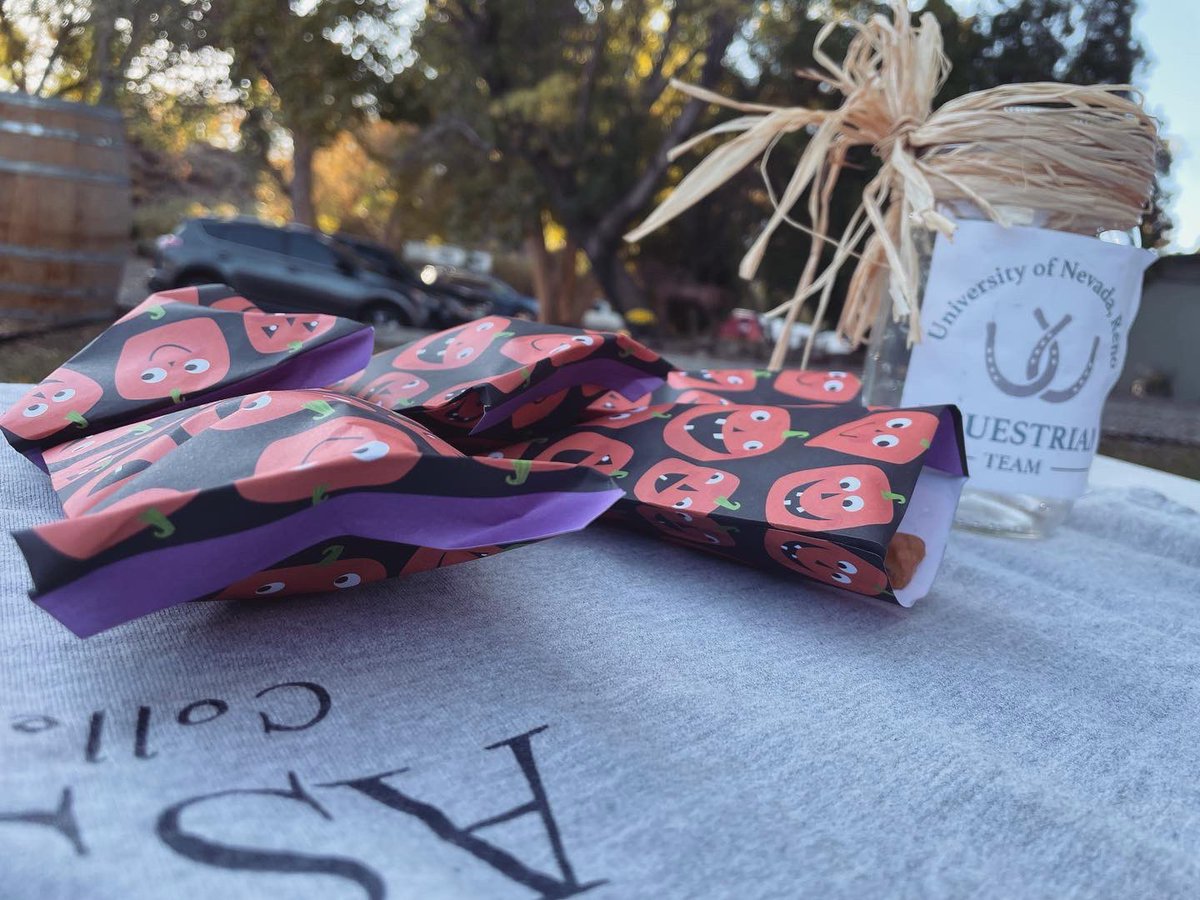 NVequestrian's tweet photo. We are tabling today @pairofacesstables! Come visit us on the grass next to the round pen. Make a donation to get a cookie for you or your equine friend 🍪🥕#snhsa https://t.co/OHcUlw2iaX