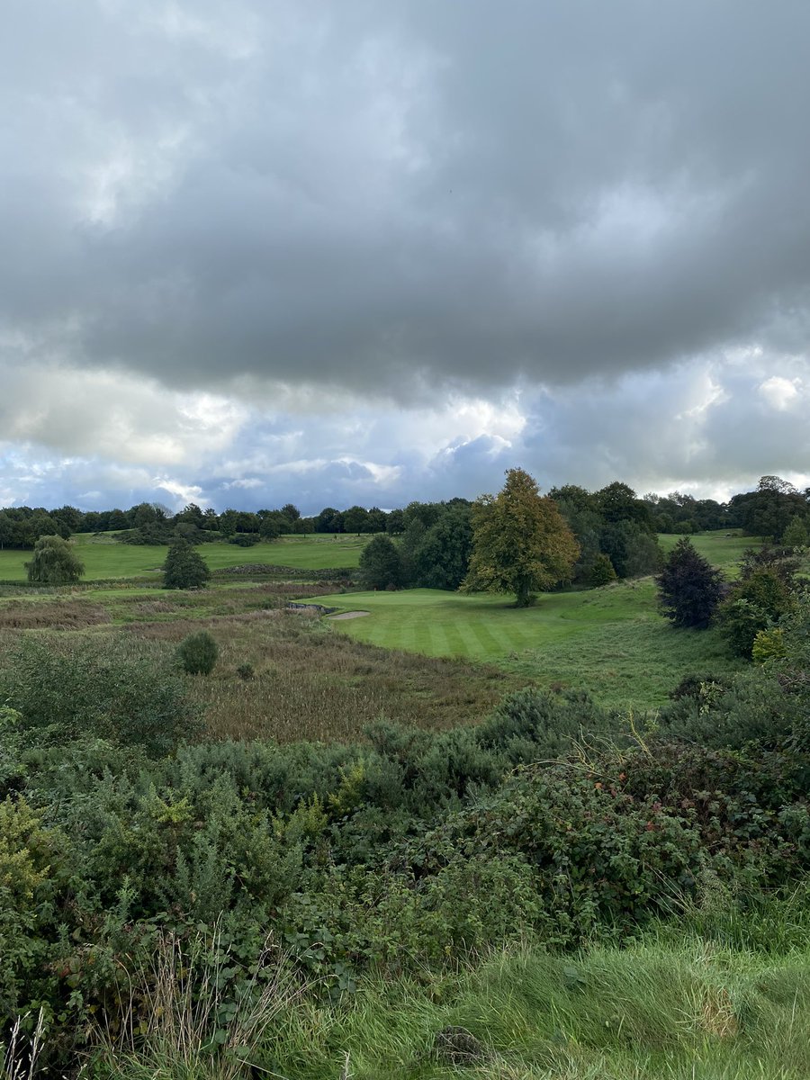 Open Golf Ireland (O.G.I.) tweet media