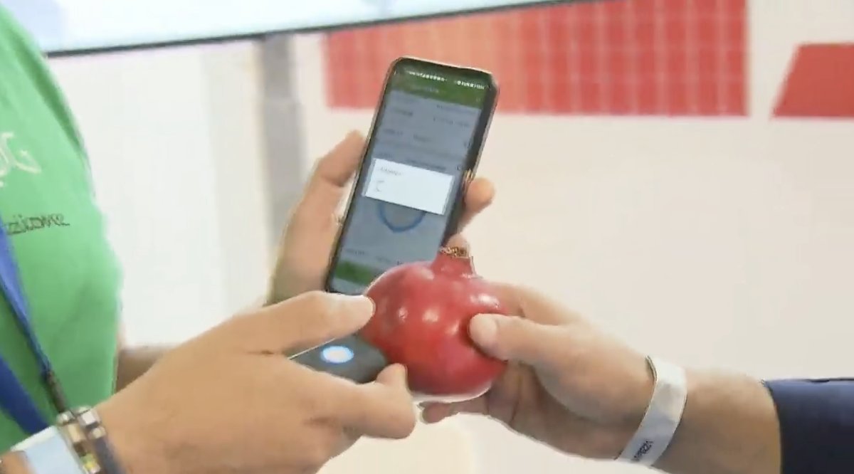 MakerFaireRome's tweet photo. #AgriDataLog "Col nostro sistema possiamo sapere subito quanti zuccheri ad esempio ci sono nel melograno"
#MFR2021 
LIVE: https://t.co/nr4kp7xM0N https://t.co/gTN7xzA8GO