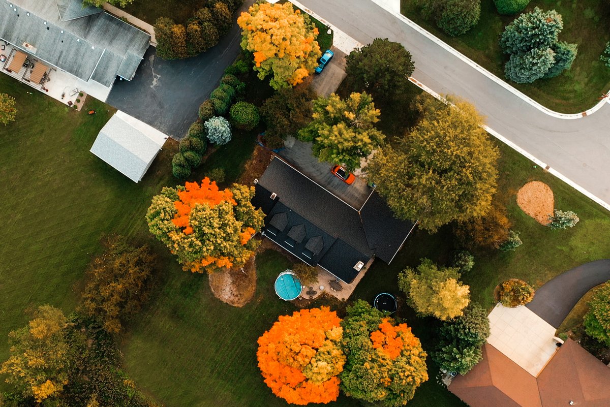 TurfTitanBrands's tweet photo. This fall it's all about feeding your lawn the nutrients it needs. Turf Titan products are designed with ingredients that will grow deeper roots and set you up for success next spring!
.
.
.
#turftitan #maythebestlawnwin #lawncare #lawngoals #falllawncare #thatchbuster https://t.co/qFPjMtlPRs