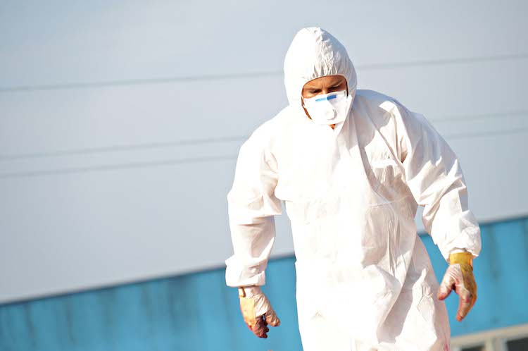 Asbestos Services - hscsscotland.com/asbestos-servi…