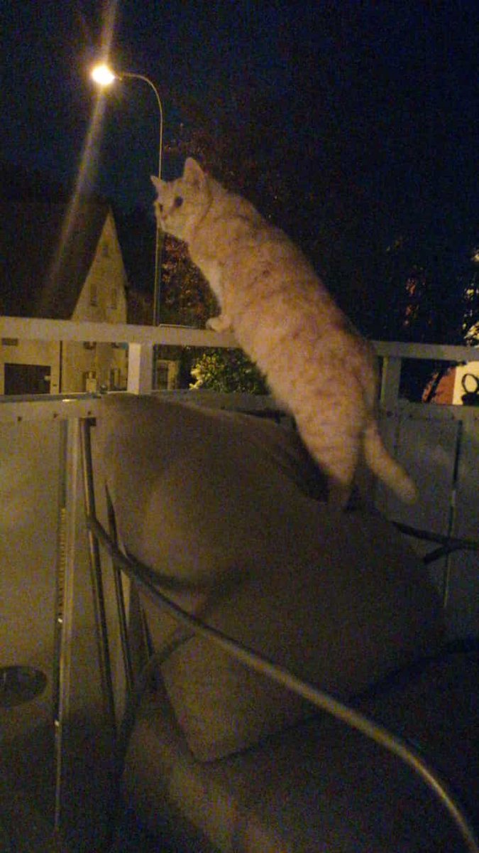 DimitriWischnev's tweet photo. #ParteeeyVolk #Wuuusenäää #ItzSaturday #Boozatime 😼😻😼😻😼😻 https://t.co/AghKljEQM4