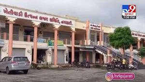 tv9gujarati's tweet photo. NAVSARI APMCની ચૂંટણીમાં પહેલી વાર તમામ 16 ડિરેક્ટર બિનહરીફ ચૂંટાયા
#NavsariAPMC #Navsari #Gujarat
Read: https://t.co/WTbzQu38w5 https://t.co/EuWrV9xEDt