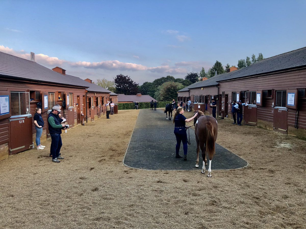 😎 It’s been a glorious 🌞 day here <a href="/Tattersalls1766/">Tattersalls</a> and Park Paddocks continues to be a hive of activity heading into the early evening.

Book 2 starts Monday 11th Oct at 10am - View the catalogue here ➡️ tattersalls.com/sales/october-… #ReadAllAboutIt