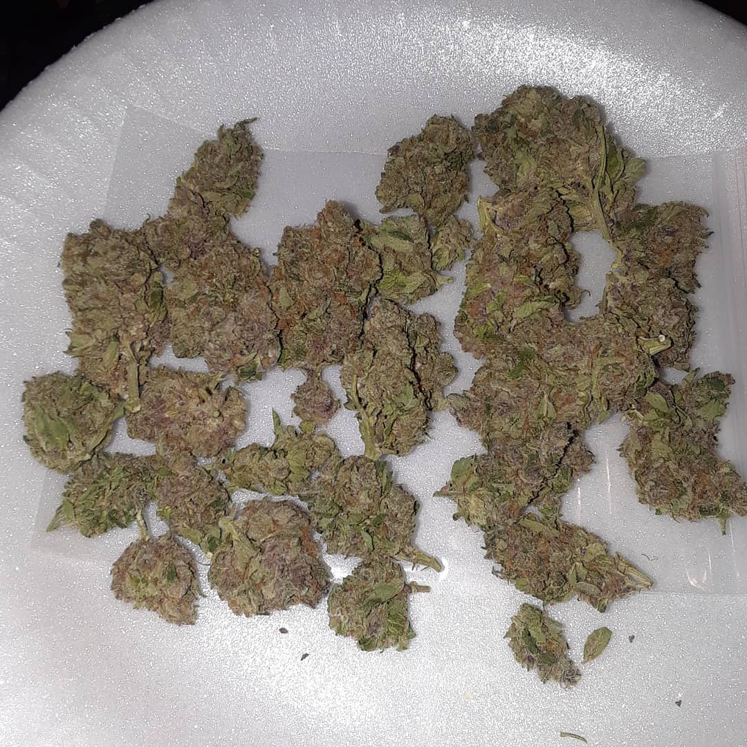 vintsweedy's tweet image. #420 #maryjane #memes #marijuana #stoned #stoners #story #cannabis #weedporn #weed #kush #Canada #germanshepherd #germany #france #texas #australia #uk #london #newjersey #newyork #joints #smokeweedeveryday #smokeweed #medicine #medicalmarijuana #weedgirls #highlife