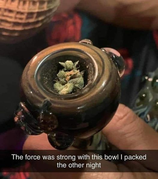 Funny this is 😆🌿

#weedlife #weedjokes #cannabisculture #cannabiscommunity #cannabislife #funny #lol