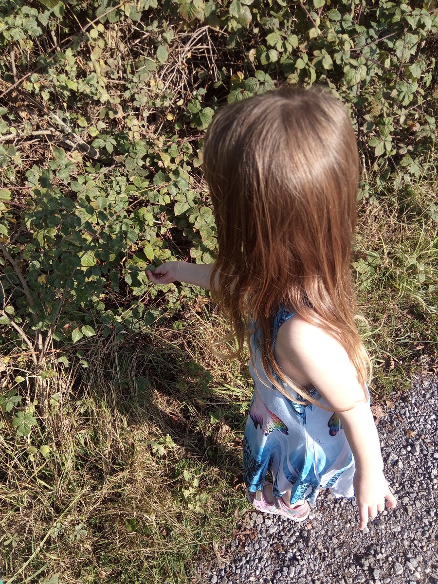 LucieLong20's tweet photo. @TranbyReception What a W weekend so far!! E's watched telly, washed the floor, been to the Wetlands to collect leaves for a mandala, walked to Hull Fair and wandered down Walton Street, winning at hook a duck and watching the waltzers - wow! #AlphabetWeekends #Ww https://t.co/Ce5YLjYq4F