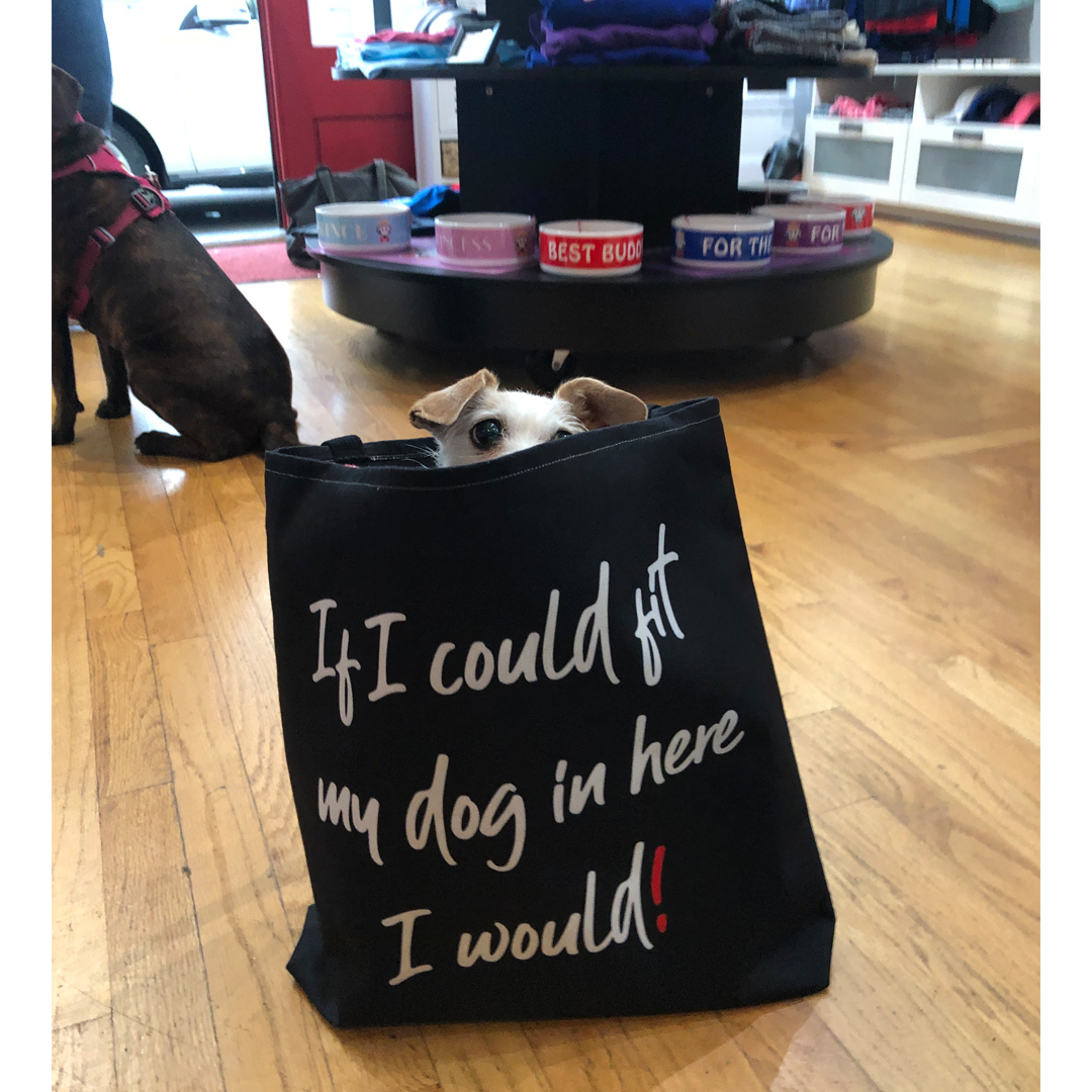 BeauTylerCo's tweet photo. Ellie!!! 😍🥰
(No caption necessary. 😊)

https://t.co/FBaw29d4Rr

#BeauTyler #FriendsofBeau #Ellie #LaughLoveLick https://t.co/qPvAc1FiUG
