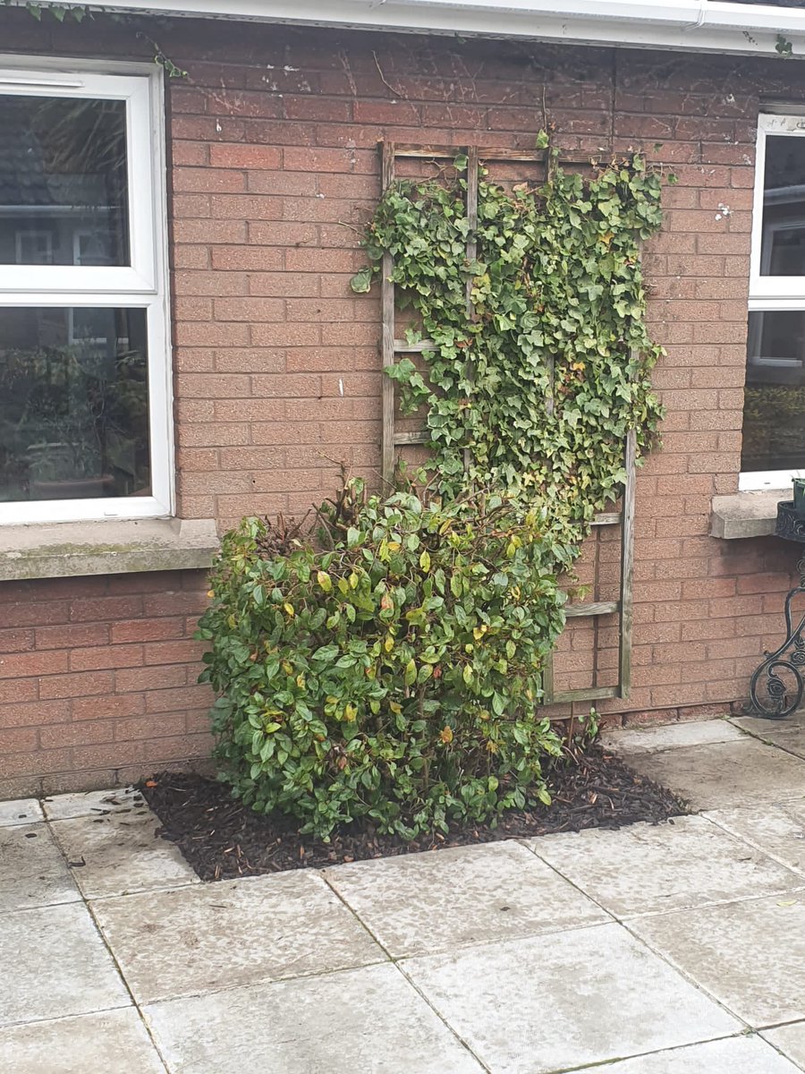 louise51053533's tweet photo. Lots of hard work gardening In Bruce house over the last few days. May the sun shine and our lovely residents can enjoy the restful space https://t.co/qQklGt7kfx