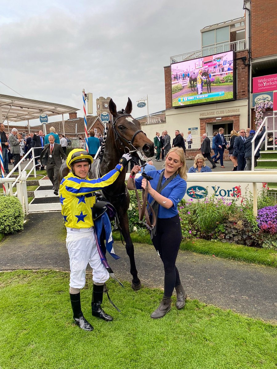 By a nostril 🤏 🏆!! BLENHEIM BOY battles to his first career victory @yorkracecourse 🟡🔵!! Onwards and upwards with this boy now ↗️! Very well done to winning owner P D Smith Holdings Ltd, jockey @Tonyhamilton83 and winning groom Robyn Kelly 👌

#saturdaywinner  
#photofinish