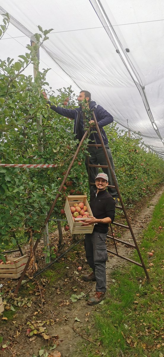 ecopomlab's tweet photo. The last field measurements of a (super) master thesis. Even the gray day could not stop the fun! #POM #ecophysiology https://t.co/6aHcaOQdfV