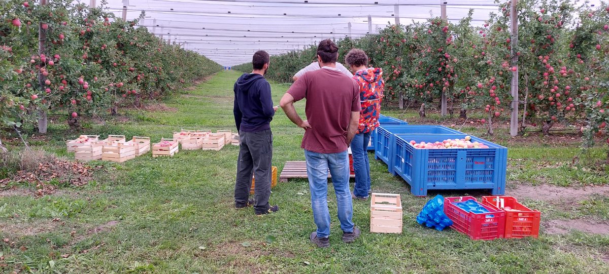 The last field measurements of a (super) master thesis. Even the gray day could not stop the fun! #POM #ecophysiology