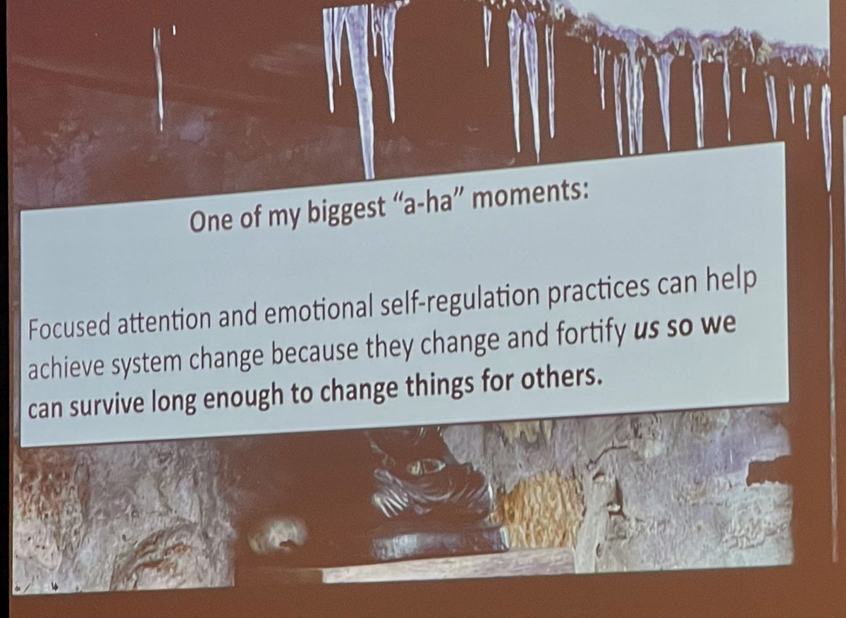 Physicians don’t need more mindfulness & emotional intelligence training. BUT, “Focused attention & emotional self regulation practices can help achieve system change b/c they change & fortify us so we can survive long enough to change things for others.”@JillianHortonMD #ACPH21