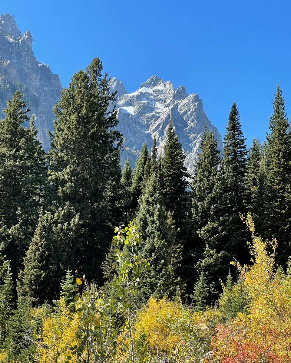 “Nature is one of the most underutilized treasures in life. It has the power to unburden hearts and reconnect to that inner place of peace.”

— Janice Anderson