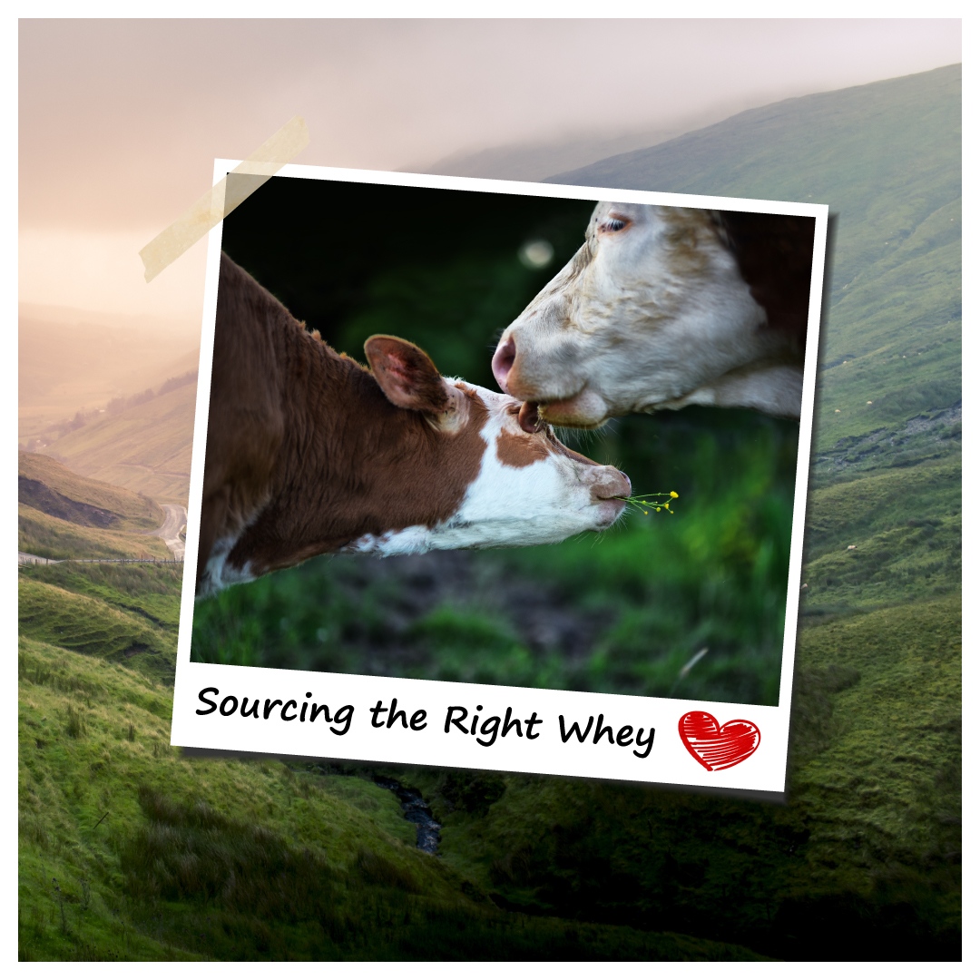 What Makes “Grass-fed” Whey the BEST?⁠ We believe our planet’s architect got it right the 1st time. The optimal diet for cows to both produce the most nutrient-dense milk for their offspring &amp; to achieve optimal health is fresh green grass. #grassfedwhey

l8r.it/kLQd
