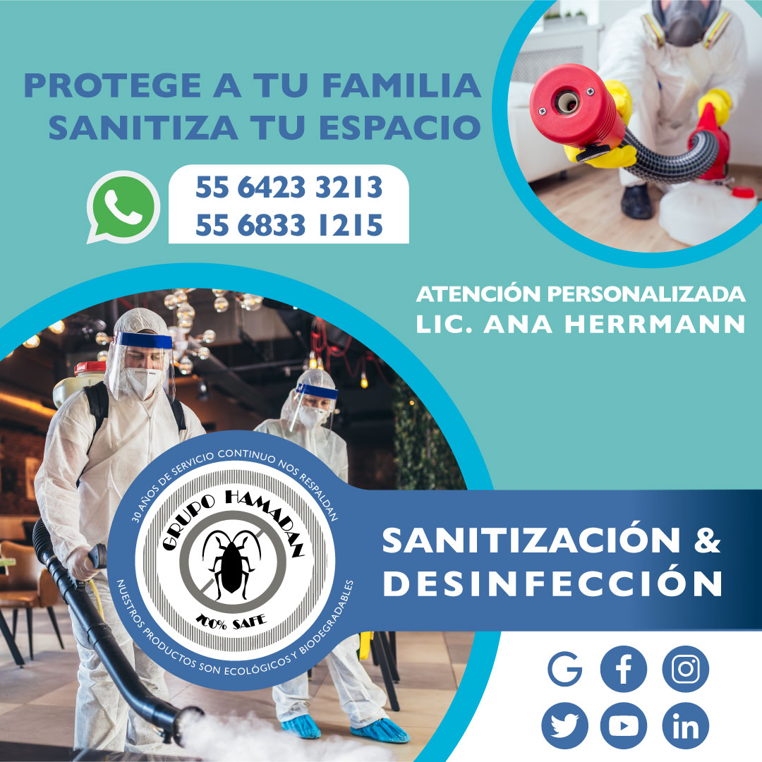 HamadanCv's tweet image. En #GrupoHamadan tenemos 30 años de una gran experiencia y especialización en la fumigación y control de plagas, así como la sanitización y desinfección de espacios comerciales y residenciales.
¡CONTÁCTENOS! 
#ControlDePlagas #fumigadora #sanitizacion #desinfeccion #fumigacion