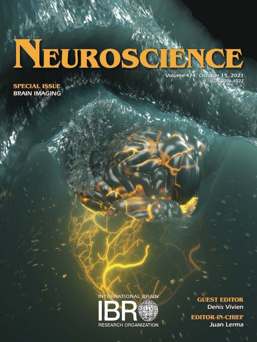 Tanter Mickael (@tanterm) on Twitter photo Functional Ultrasound Imaging makes the cover of Neuroscience @NeurosciIBRO Special Issue on Brain Imaging just out, ed. by <a href="/ViviensLab1/">Vivien's Lab</a> Big Congrats to <a href="/AlexandreDizeux/">Alexandre Dizeux</a> for the artwork and many thanks to co-authors @DeffieuxThomas <a href="/CharlieDemene/">Charlie Demené</a> sciencedirect.com/science/articl… Functional Ultrasound Imaging makes the cover of Neuroscience @NeurosciIBRO Special Issue on Brain Imaging just out, ed. by <a href="/ViviensLab1/">Vivien's Lab</a> Big Congrats to <a href="/AlexandreDizeux/">Alexandre Dizeux</a> for the artwork and many thanks to co-authors @DeffieuxThomas <a href="/CharlieDemene/">Charlie Demené</a> sciencedirect.com/science/articl…