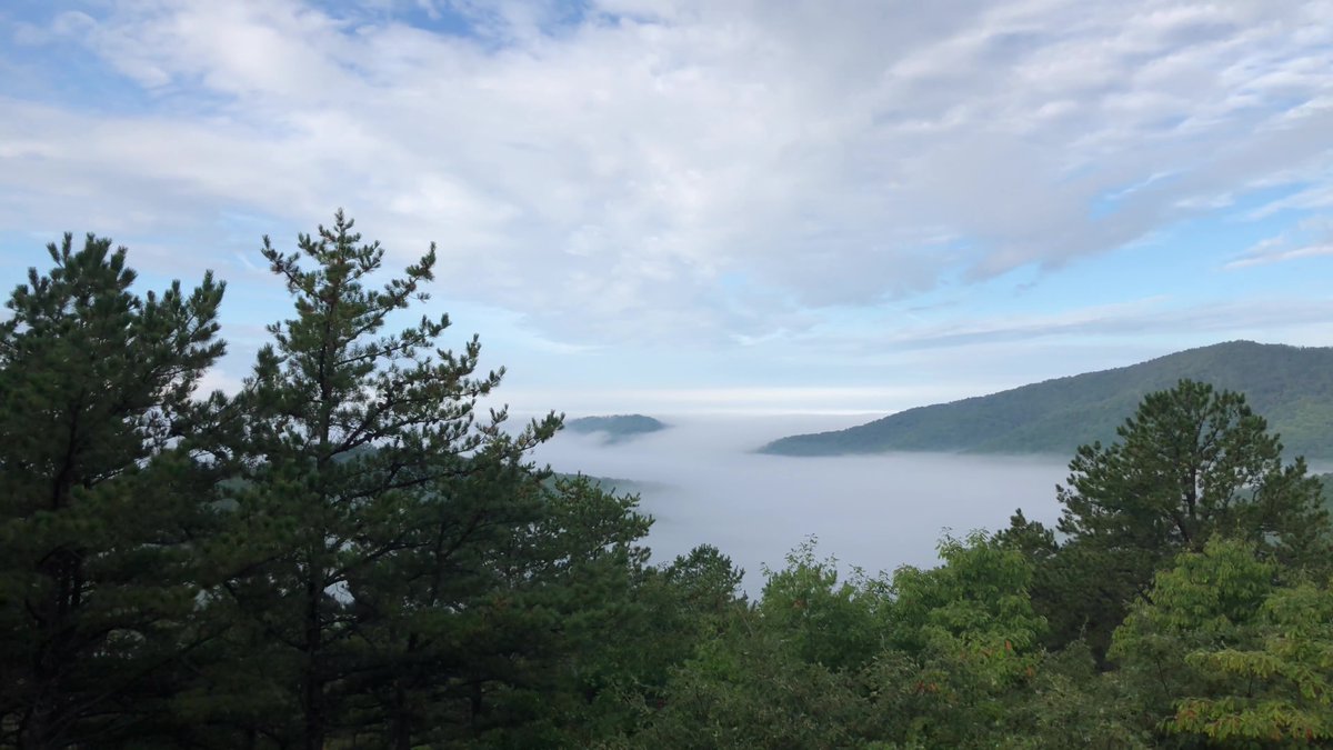 CRidgeFilms's tweet image. October 5, 2021 was a foggy morning in Shenandoah National Park in Virginia. Join me on my journey along Skyline Drive to look at the foggy overlooks.
youtu.be/deWthU7l5Bw