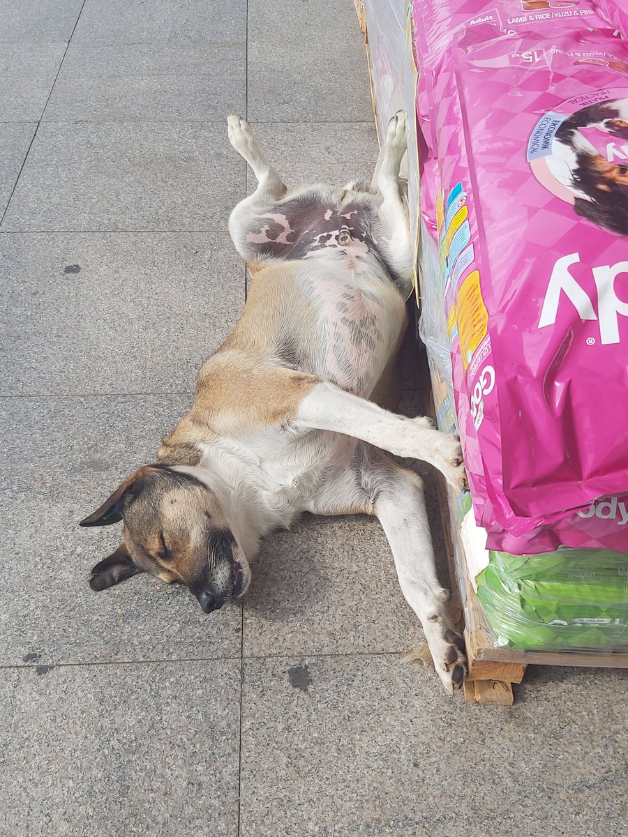 Süreyyapaşa migros önünde