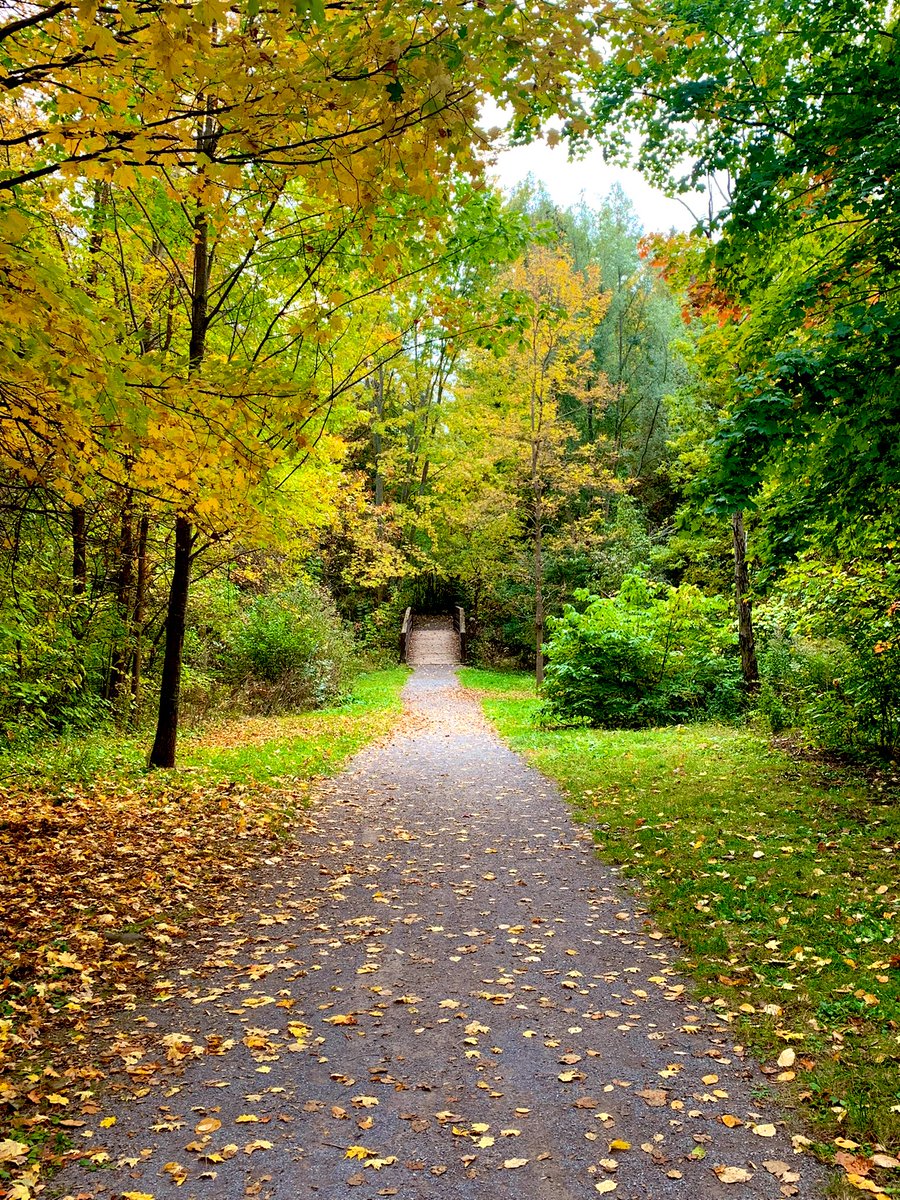 JulieLafleur13's tweet photo. Grateful for moments of self-care this afternoon. Also, for the small stops to appreciate the land and all its beauty this time of year. #Grateful #selfcare #fallcolours #longweekendfeels https://t.co/pvAjoec8Ll