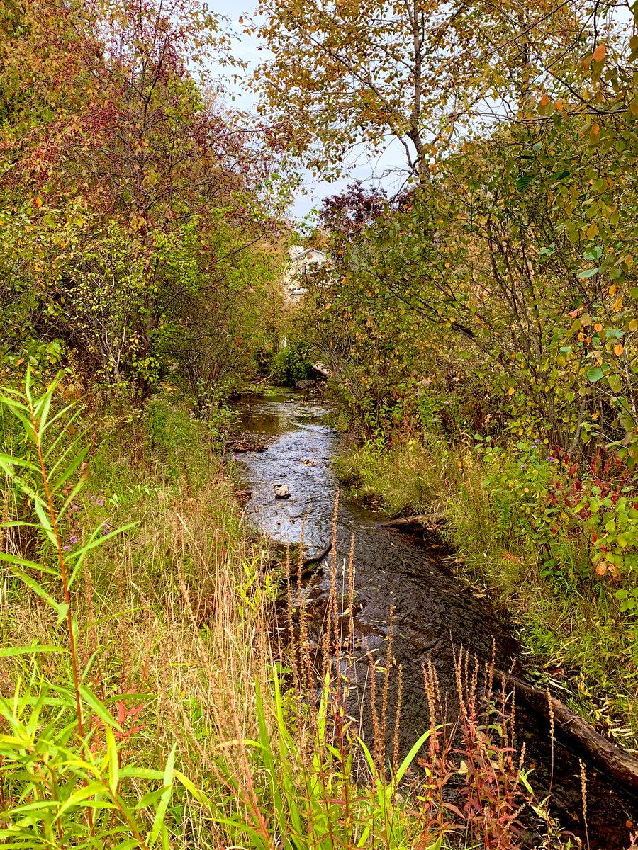 JulieLafleur13's tweet photo. Grateful for moments of self-care this afternoon. Also, for the small stops to appreciate the land and all its beauty this time of year. #Grateful #selfcare #fallcolours #longweekendfeels https://t.co/pvAjoec8Ll