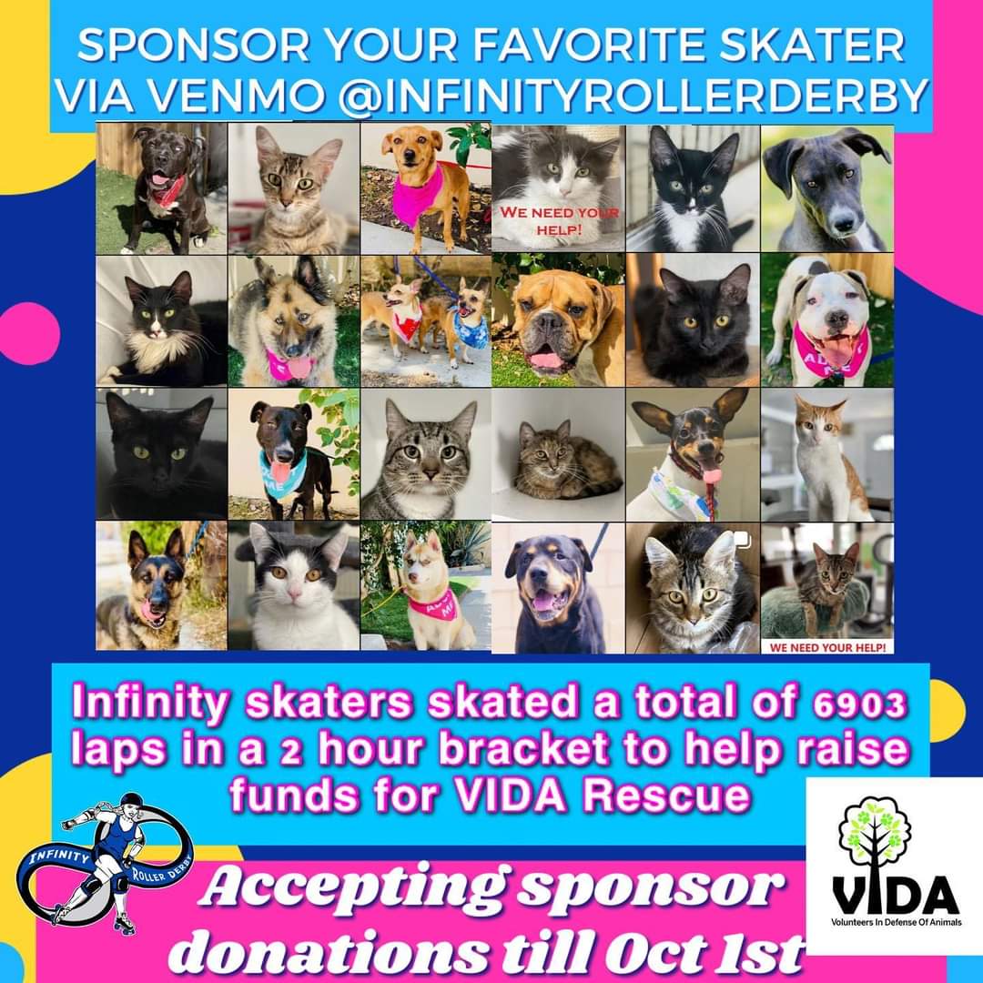 InfinityRollerD's tweet photo. 🐶🐾🐈 Thanks to your generous support, we were able to raise and donate $1855 to VIDA Rescue for our Annual Skateathon!!! Vida Rescue is local nonprofit dedicated to helping save animals in need.  We send our Derby Love to the dedicated staff at Vida Rescue!!! 💙💙💙 https://t.co/KT8L42Thfk