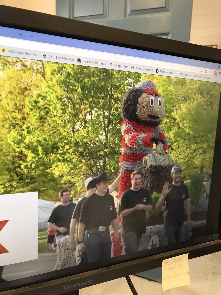 Emily Wickham tweet media