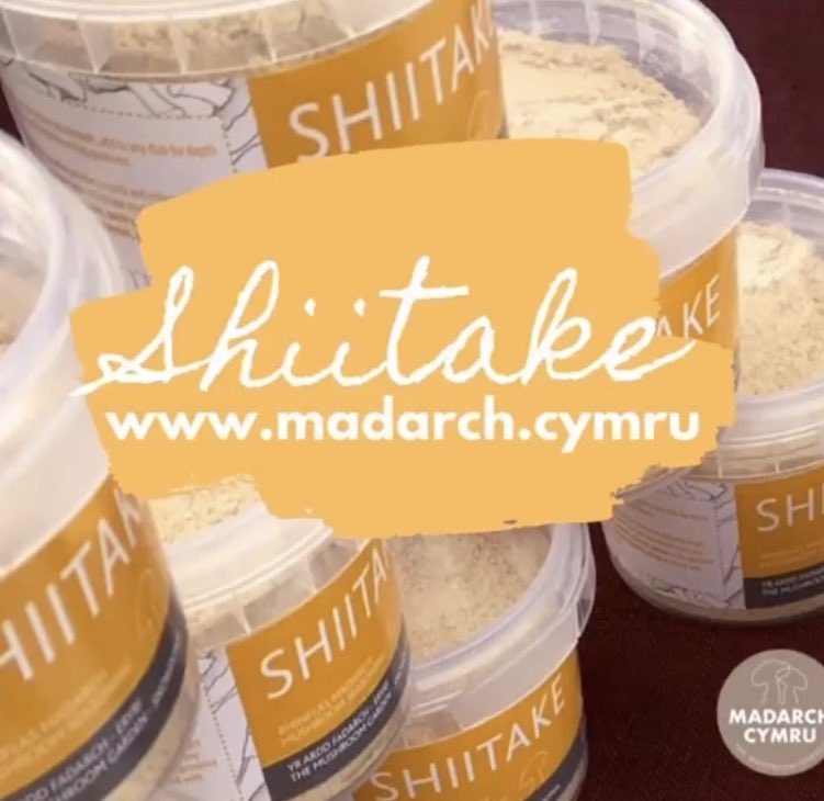 🧡 Mae blas Hydrefol i’n powdr #Shiitake: perffaith mewn amryw brydau
🧡 A taste of #Autumn in a pot! Try our Shiitake #Mushroom rub in any number of savoury dishes
🛒madarch.cymru