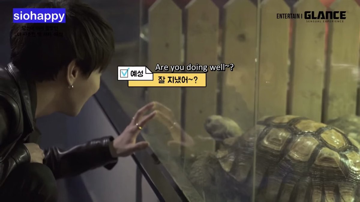 Optiminyaaah's tweet image. ใครไปพิพิธภัณฑ์สัตว์น้ำCOEX ที่โซล ลองแวะไปหาเต่าของพี่เยซองได้ น้องชื่อ ตังโกมา พี่เย่ซื้อมาเลี้ยงเพราะคิดว่าเป็นเต่าตัวเล็กๆ แต่สรุปน้องตัวใหญ่ยักษ์ เลยต้องเอาไปไว้ที่อควาเรี่ยม แต่พี่ก็แวะไปเยี่ยมตลอด+ชี้ได้เลยว่าตัวไหน พี่รักตังโกมามากจริงๆ🥺❤️🐢