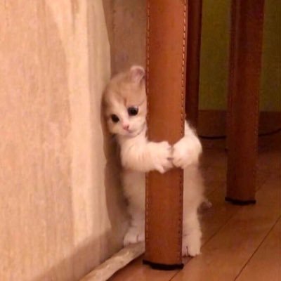 #.NewProfilePic 👏🏻