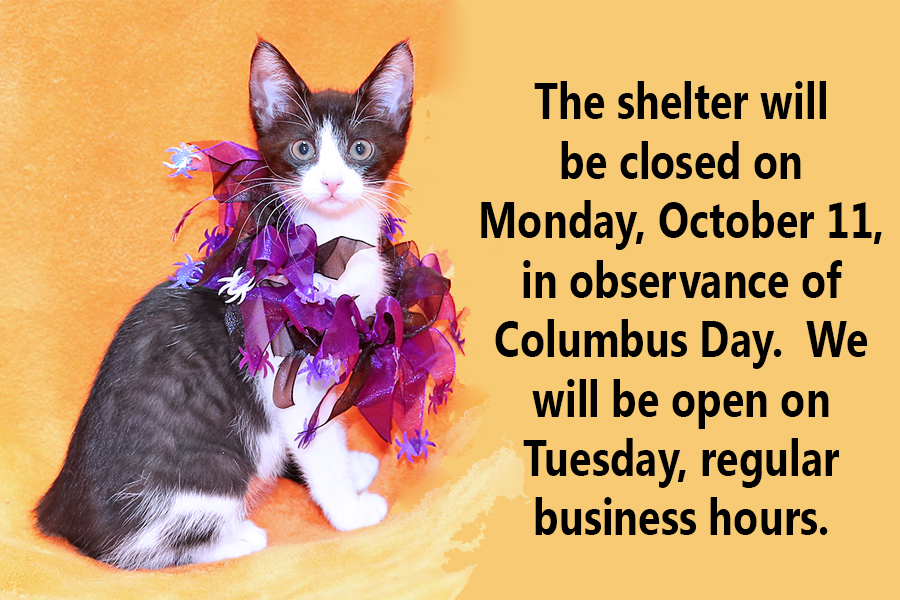 LivCo Animal Shelter (@lcas_howell) on Twitter photo 