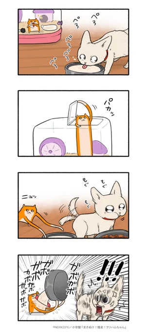 水分補給は大事でちゅ 